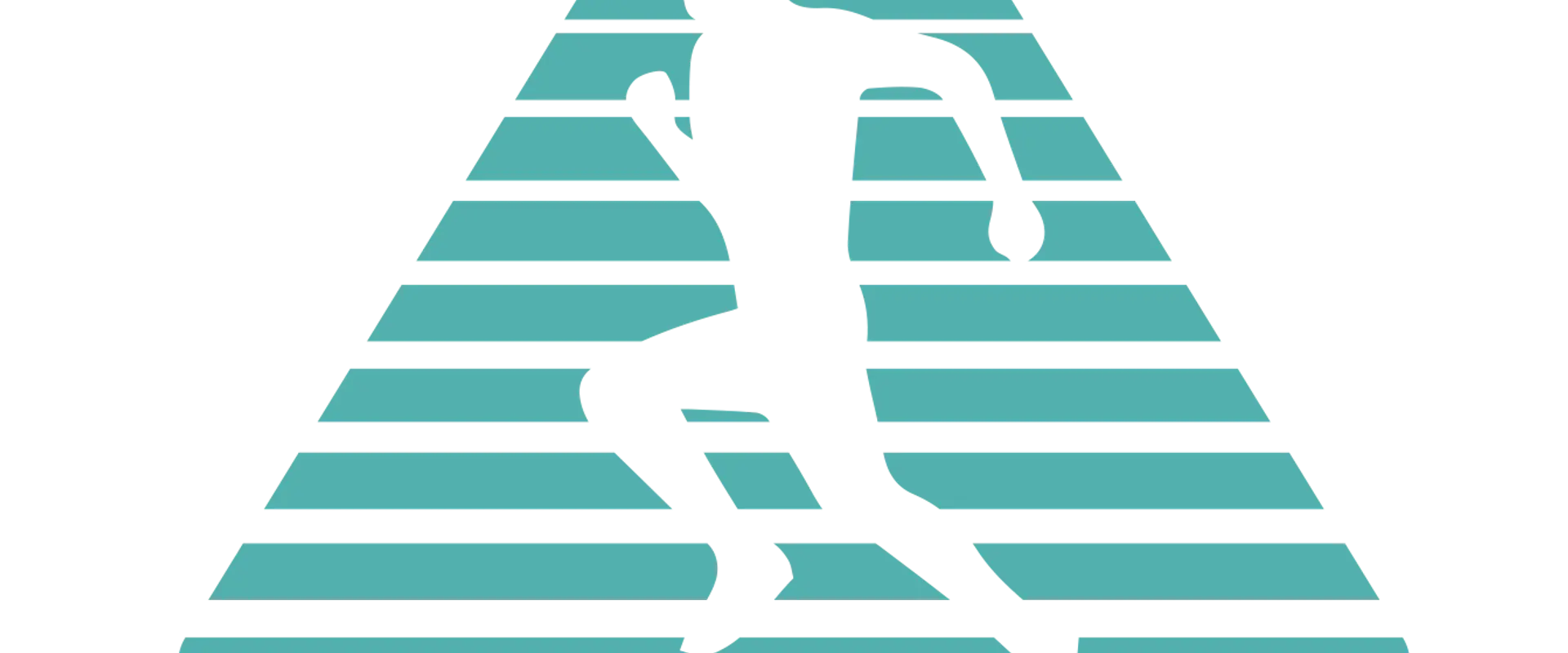 Bags Bootcamp