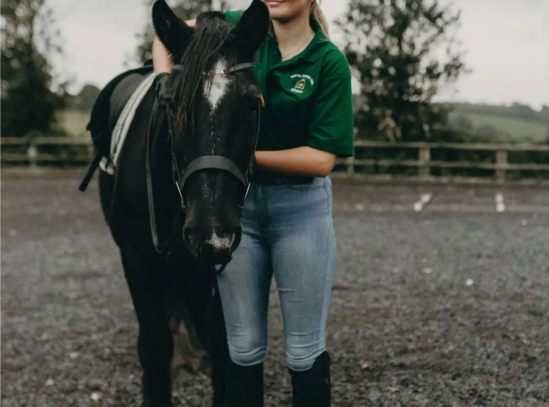 Newton Ferrers Equus