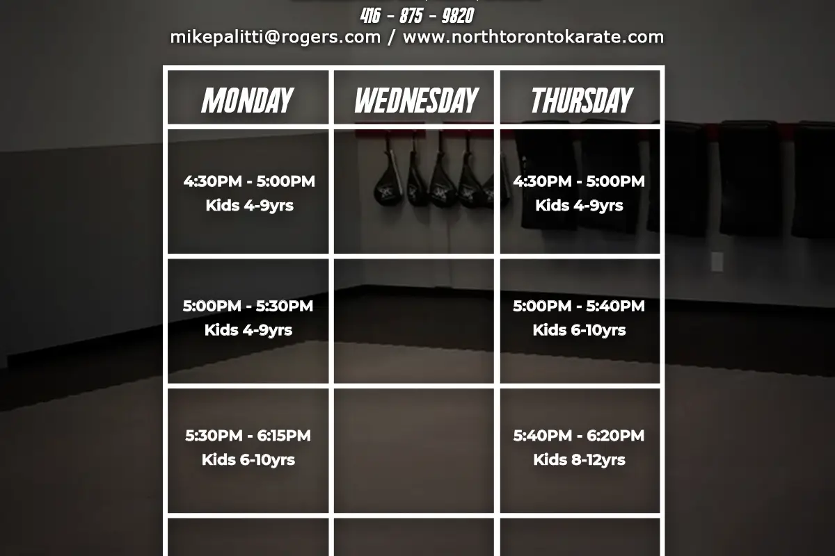 North Toronto Karate School