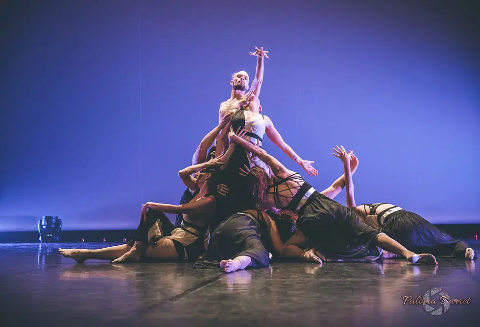 Luminandance Arts