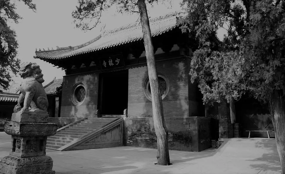 Wing Chun Self Protection