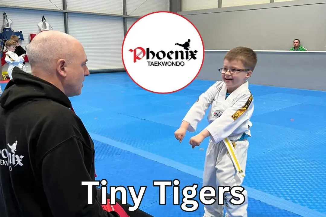 Phoenix Taekwondo Academy ltd