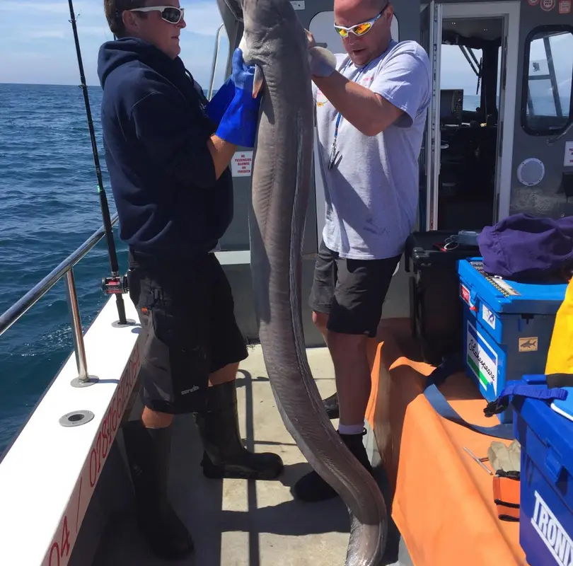 Our Joe - L Charters & UK Fishing Holidays