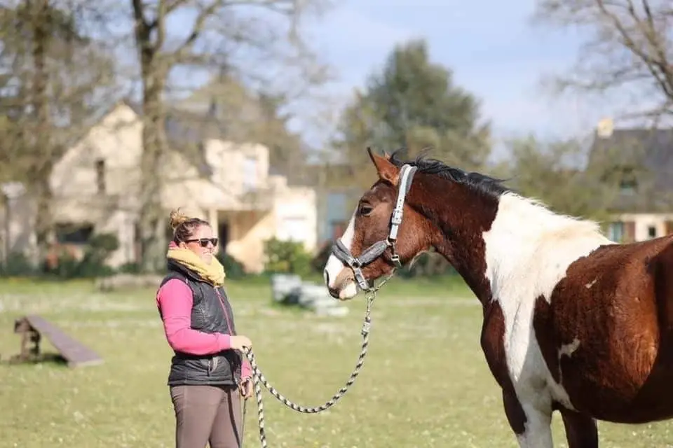 Les Chevaux Du Bel Air