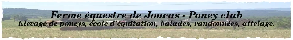Horse Farm De Joucas