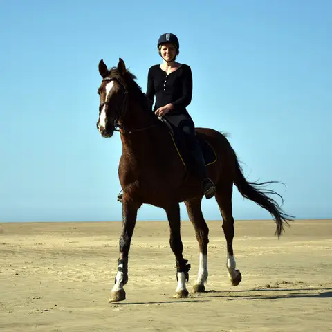 Les Ecuries du Haras Saint Georges