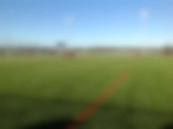 Vaughan Grove #2 (Grass)