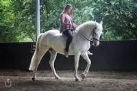 A M C EQUITATION
