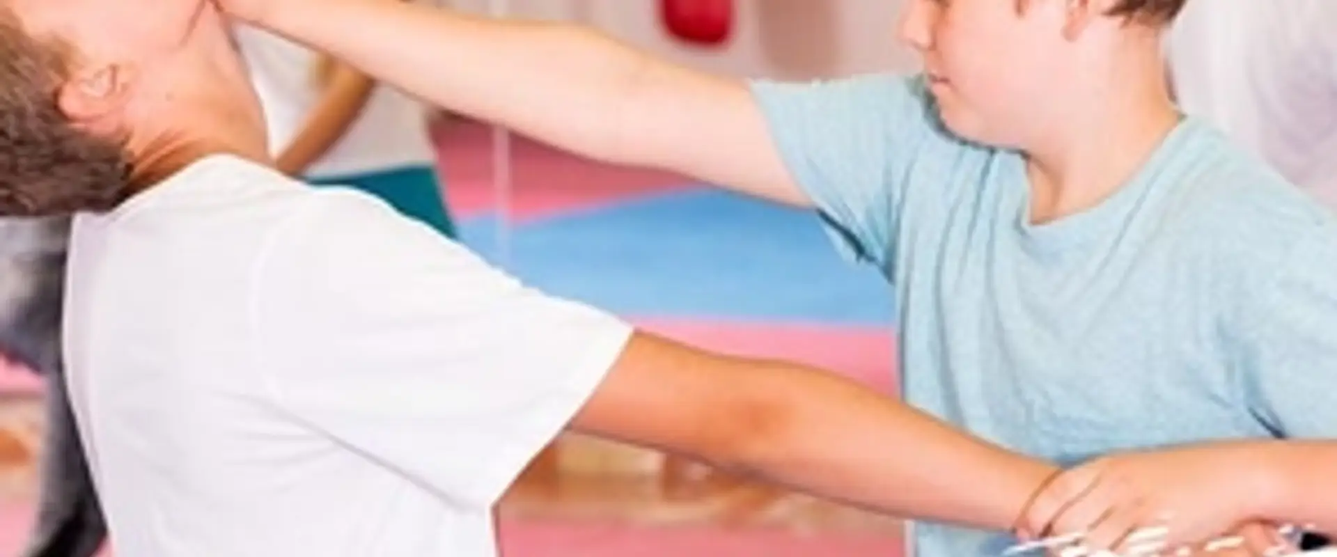 Zendojang