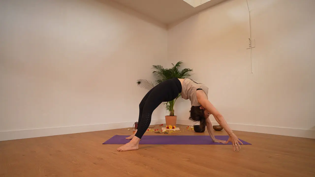YOGA EQUANIMITY