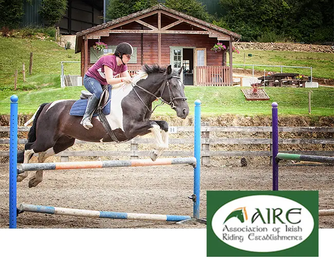 Tulligmore Equestrian