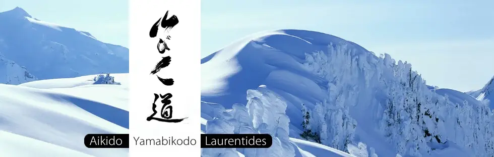 Aikido Laurentides De Saint-Jrme Sainte-Agathe Terrebonne