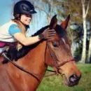 Ecurie Owners Bordeaux - Pension Horses - Field Des Artigaux