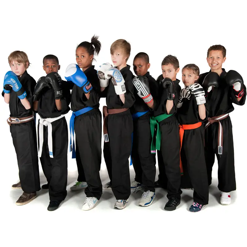 Genesis Martial Arts Downley