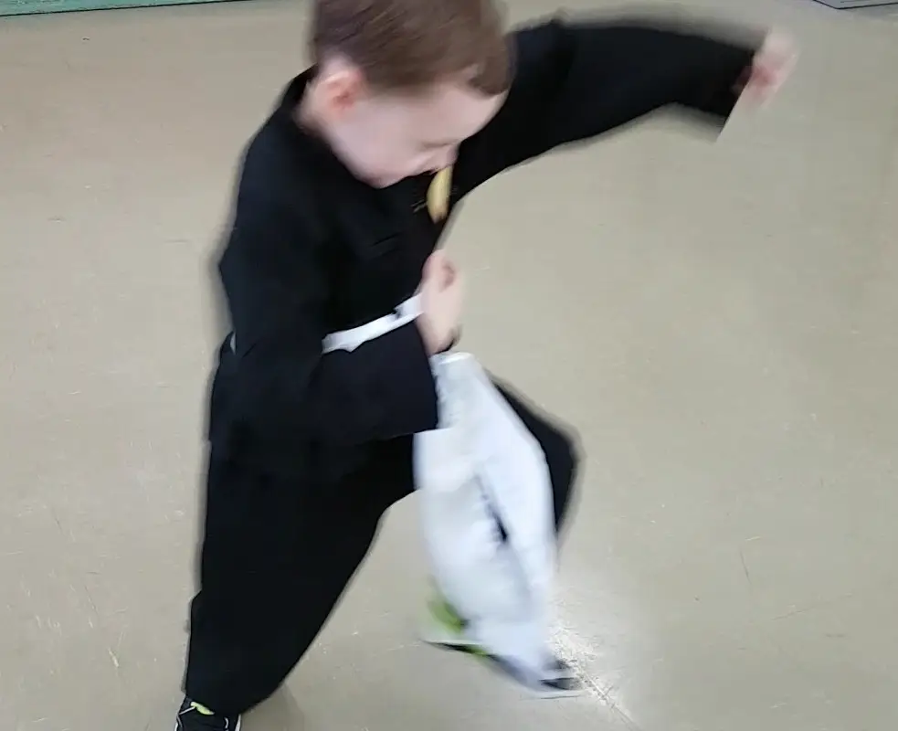 Young Masters Kung Fu