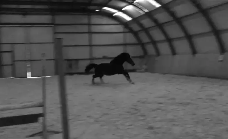 CENTRE EQUESTRE LA GIRAUDIERE