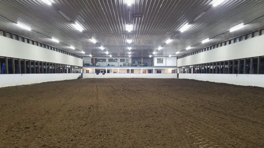 Westwood Warmbloods