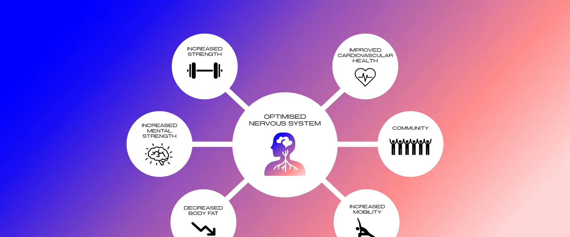 FitazFK Gym