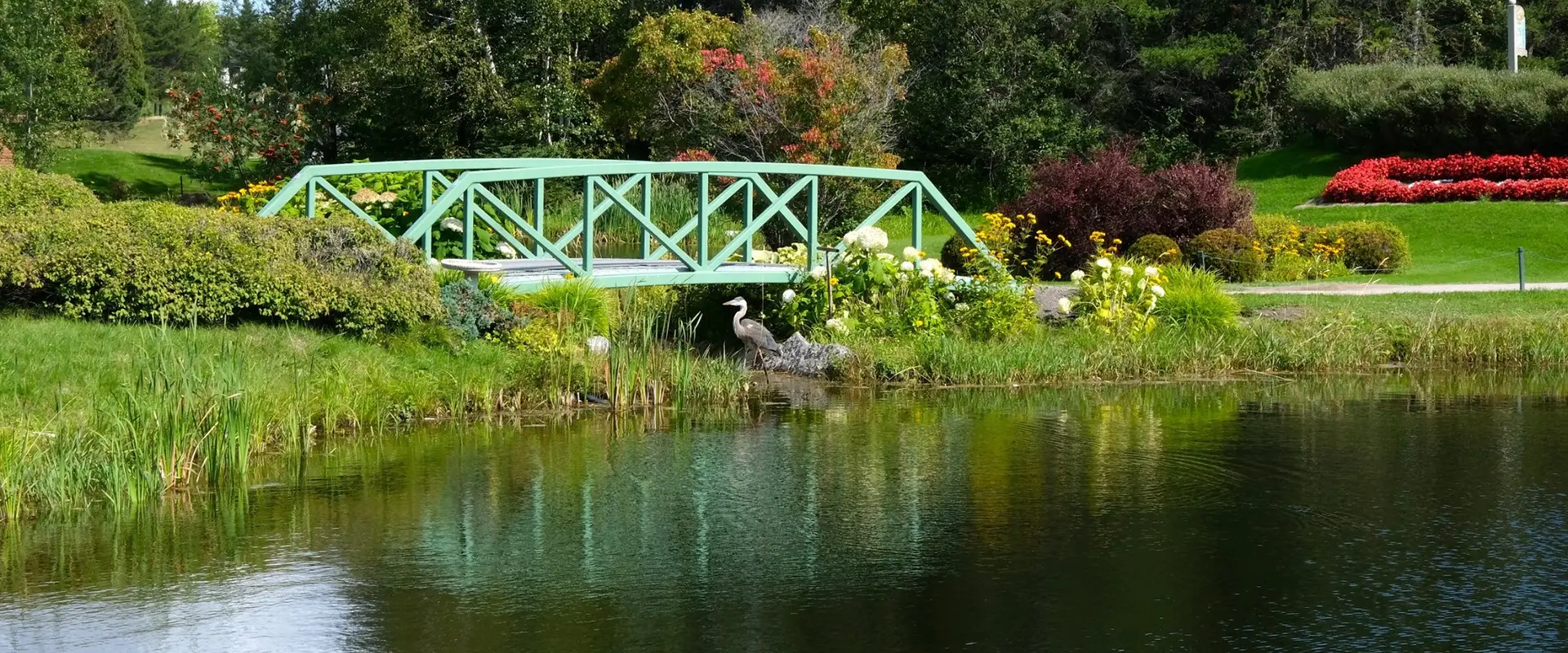 Golf Lac-Saint-Jean