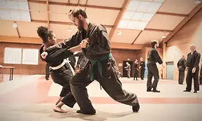 Bujinkan Kitamori Dojo Lille