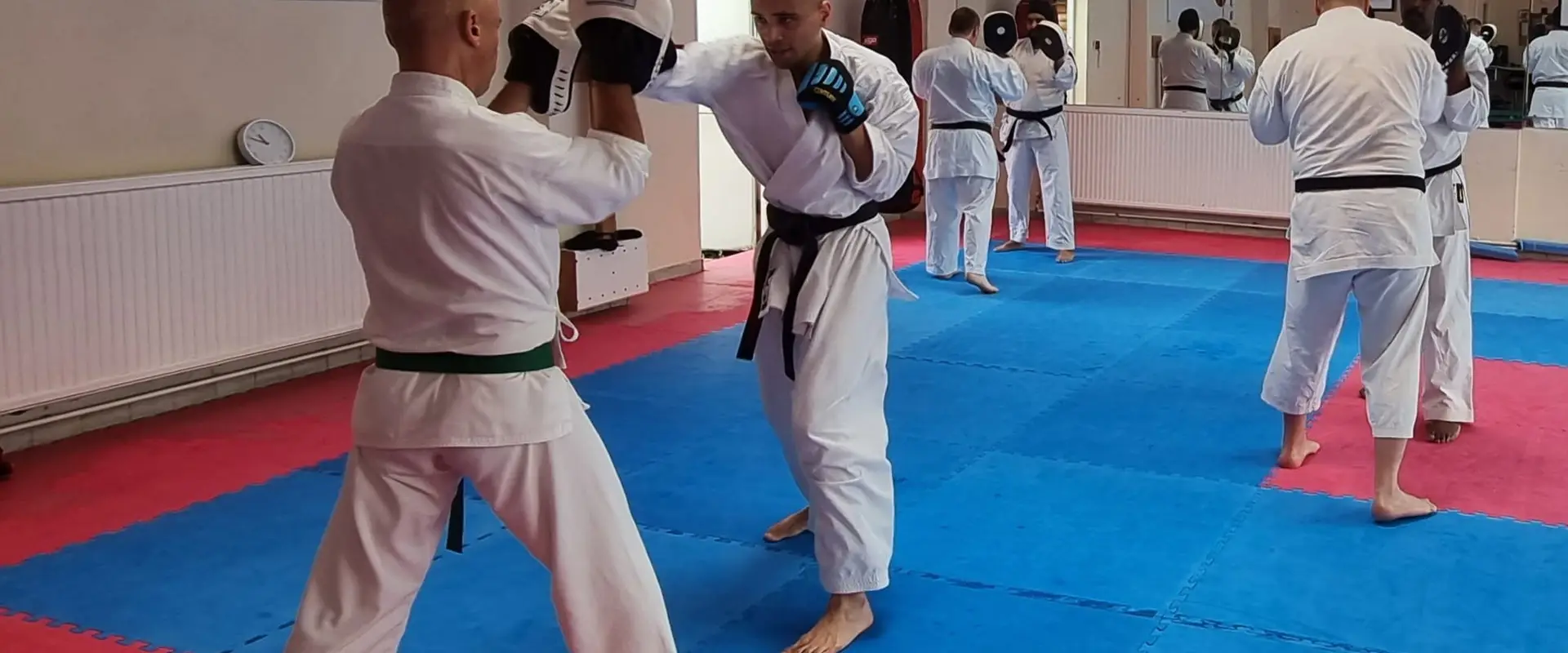 North Surrey Karate