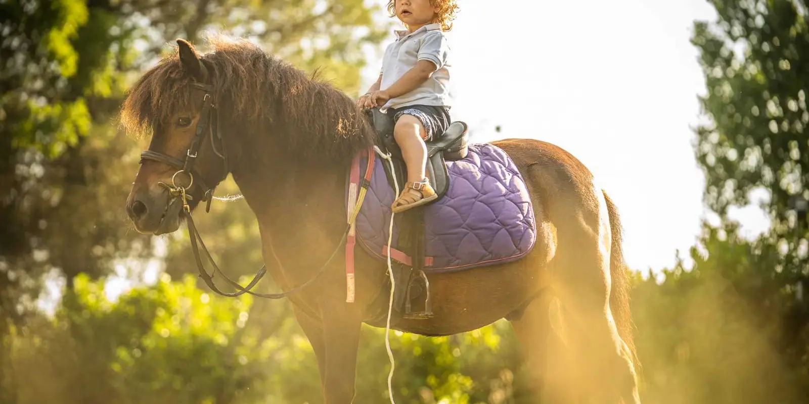Pony Club De Maurin