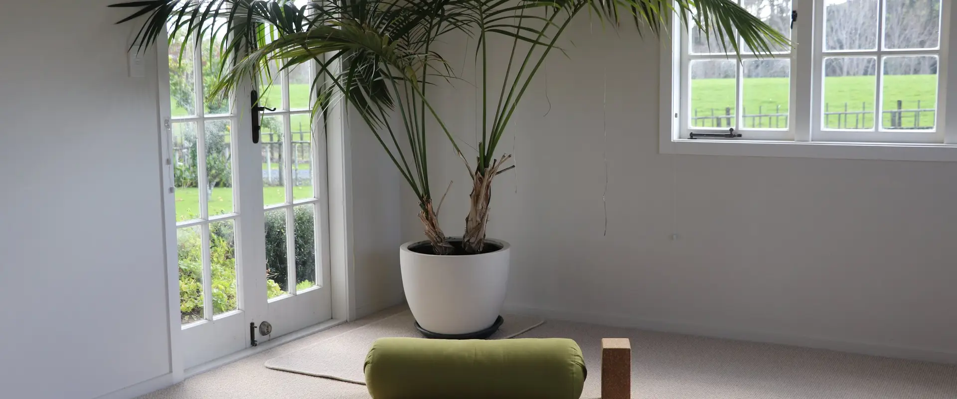YOU Wellness Studio