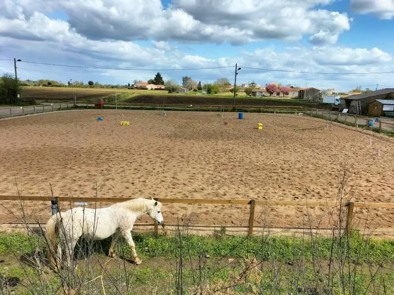 Equestrian Center Des Roseaux De Goulaine