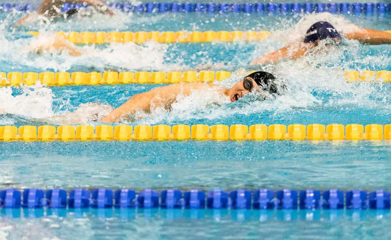 Piscine du parc Champigny
