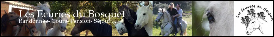 Les Ecuries Du Bosquet