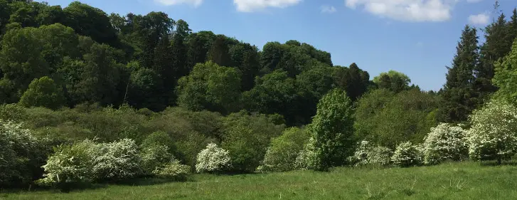 Vogrie Country Park