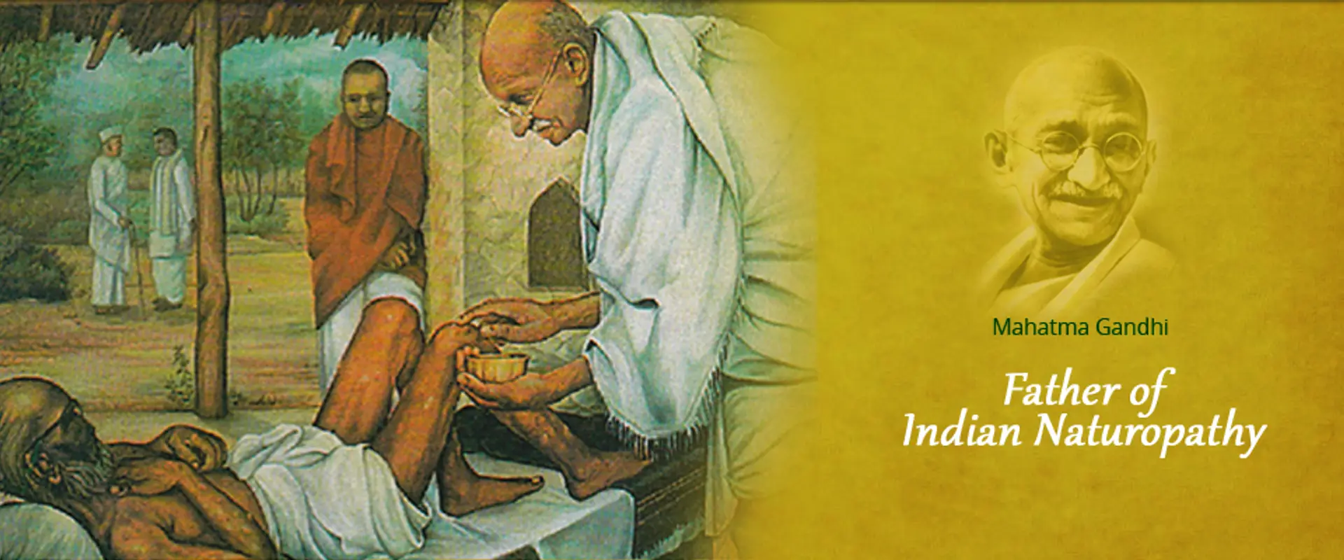 International Naturopathy & Yoga Research Institute