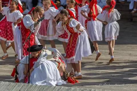 Detský Folklórny Súbor Gerulata