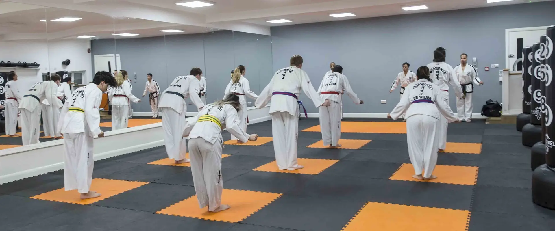 De Silva Taekwondo - Wembley