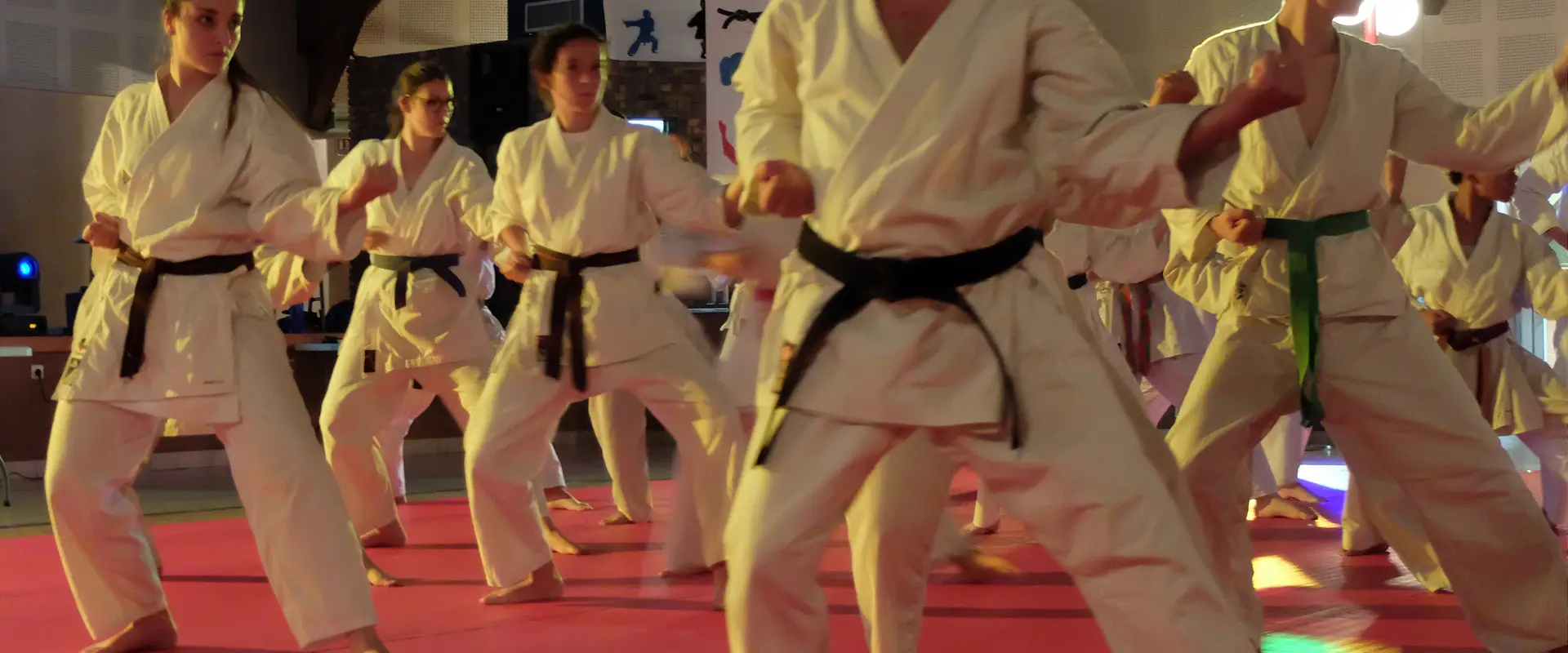 Olympic Karate Saint Genois