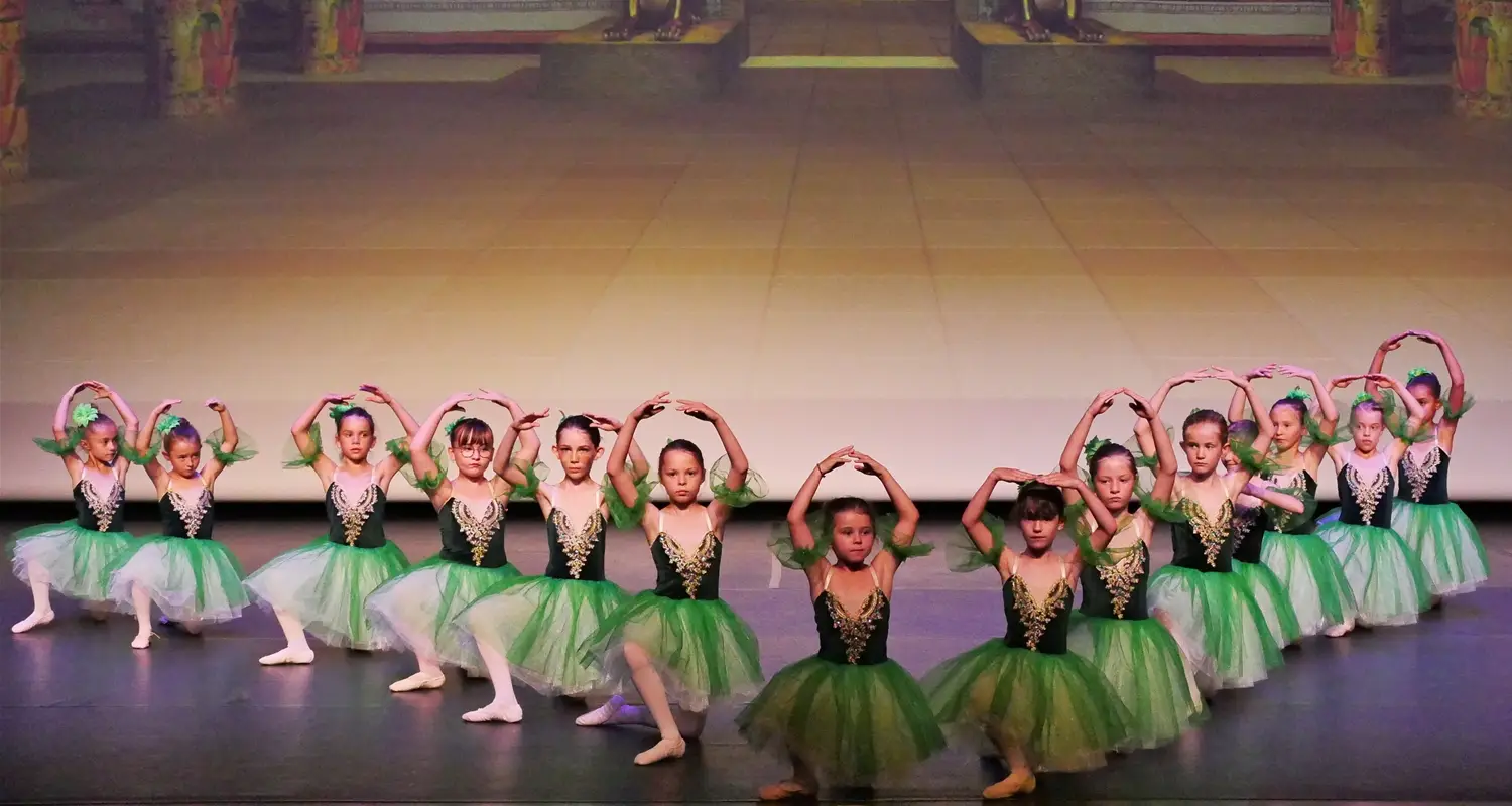 Ballerina Dance Academy