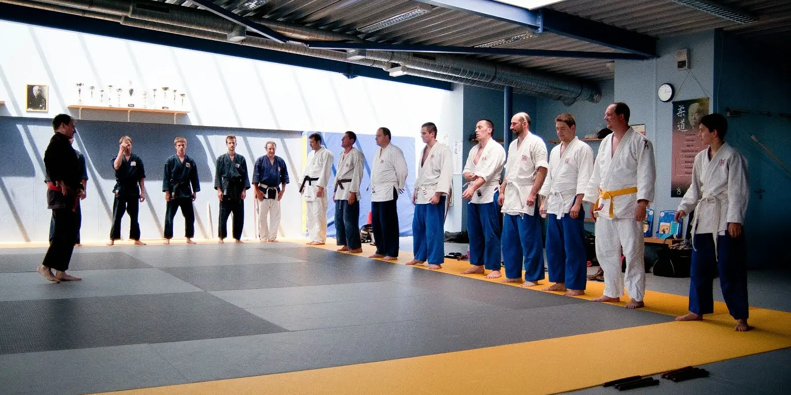 Goshinkaï Ju Jutsu