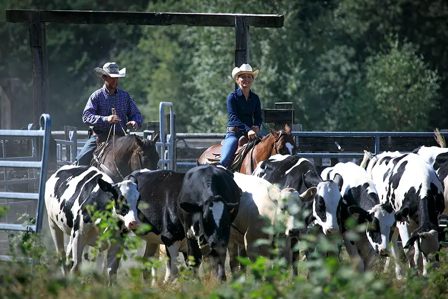 Kings Valley Ranch