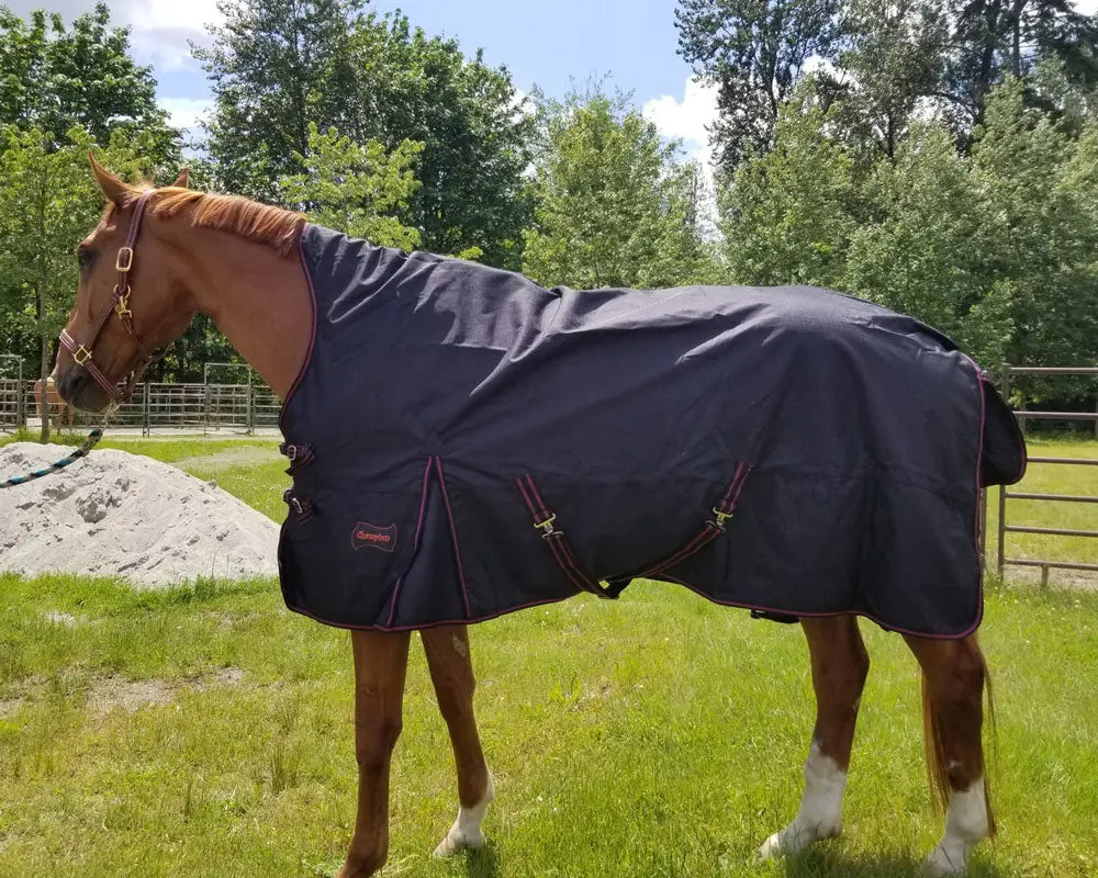 Champion Horse Blankets