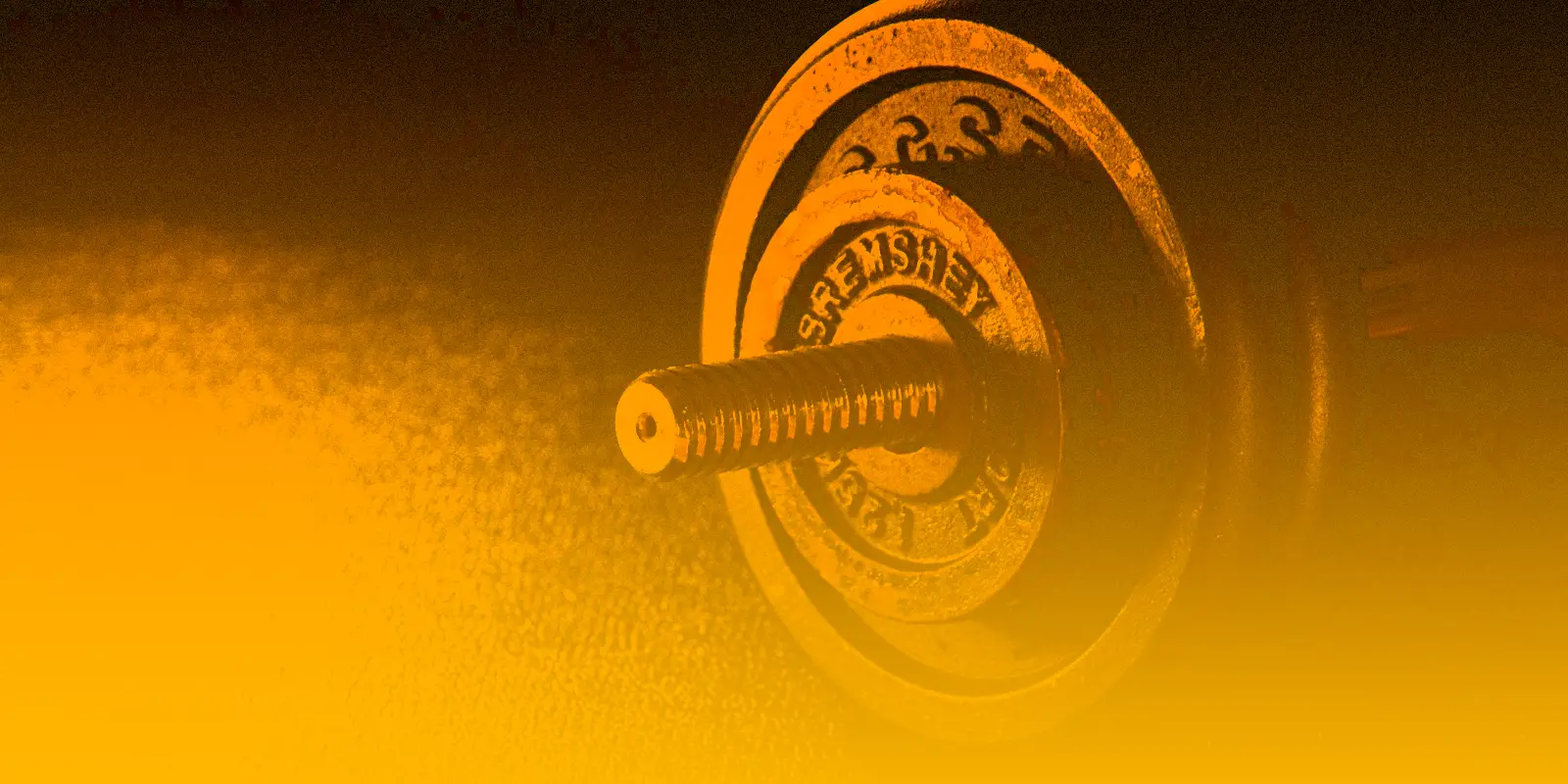 Sandwell Gym