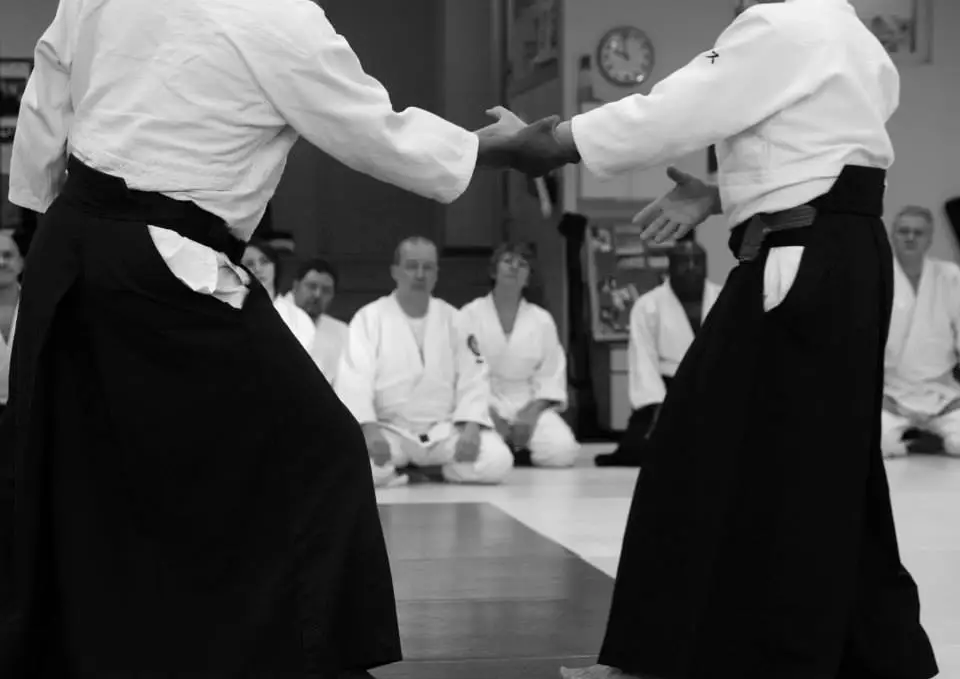 Aikido Melun Enfants Et Adultes