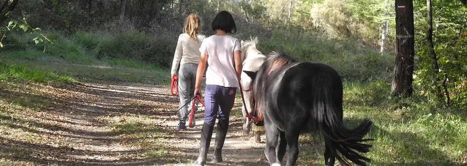 Ferme Equestre Naturelle des Grillaults