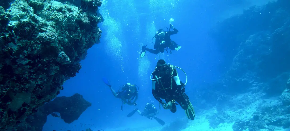 Jeffs Diving World