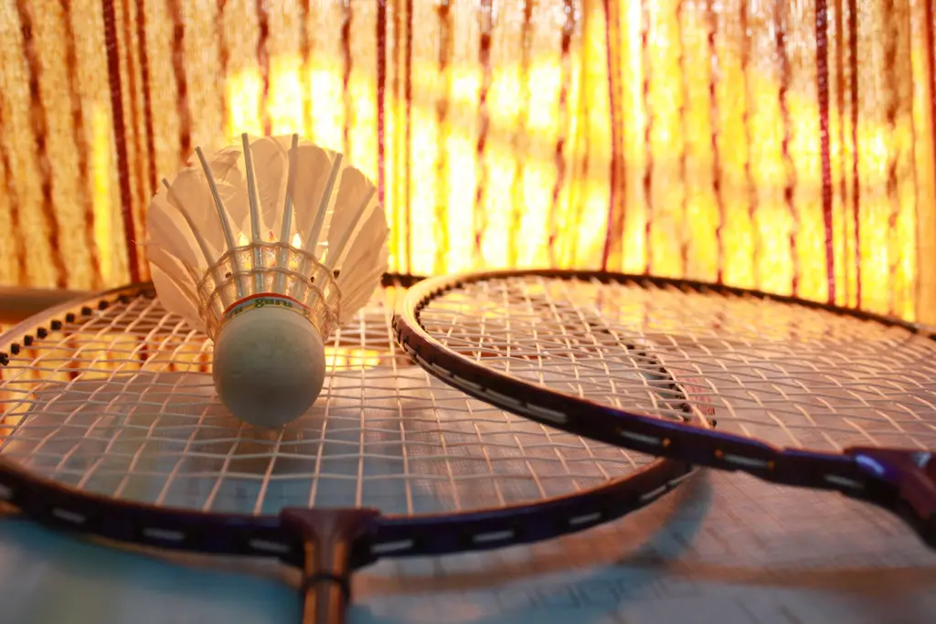 Plestin Badminton