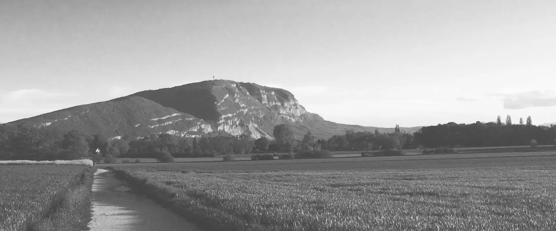 Performance Reathletisation BONNEVIE