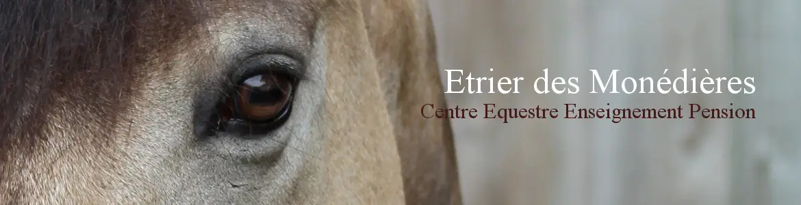 Equestrian Center L'etrier Des Monédières Etrierdesmonedieres.ffe.com