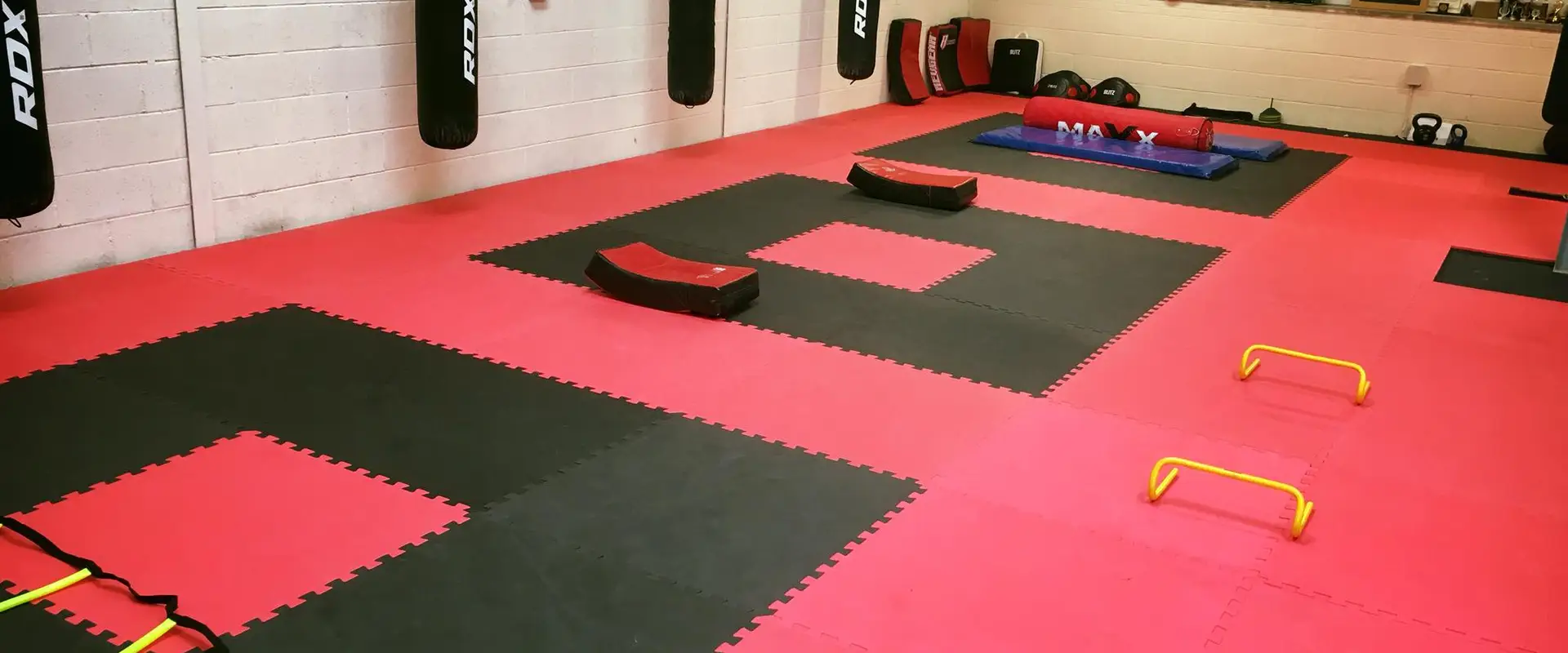 Ai Martial Arts