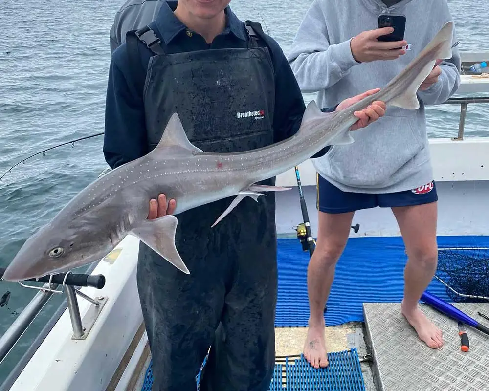 Ocean Grove Fishing Charters