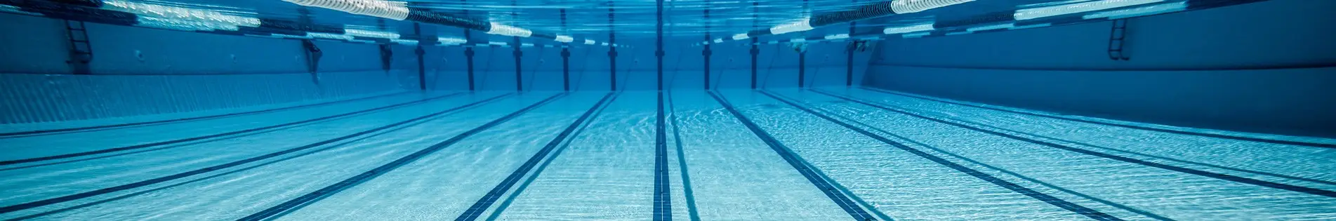 Chase Swimming Club