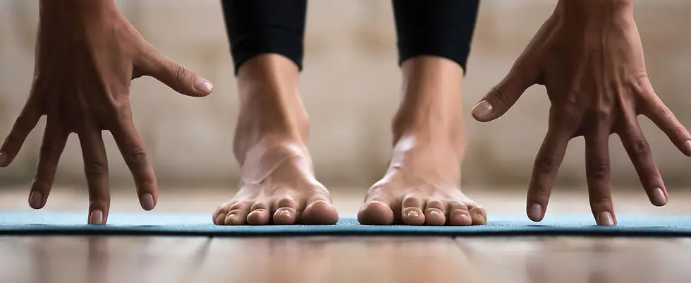 AlexFitness